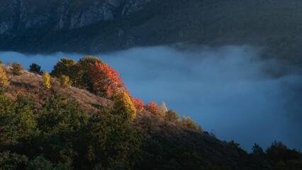 Sticker - Foggy autumn day in mountains