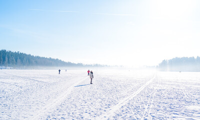 Poster - Beautiful shot of snowy landscape