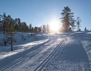 Poster - Beautiful shot of snowy landscape