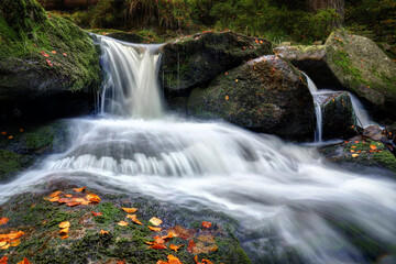 Canvas Print - Picturesque view of a waterfall and mossy rocks in the forest