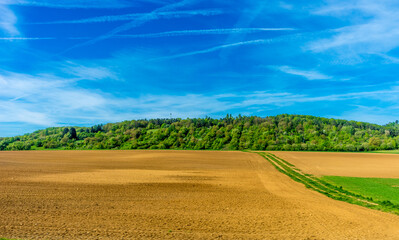 Canvas Print - Landscape of a harvested farm field under a blue sky and sunlight in Frankfurt, Germany