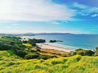 Wall Mural - Beautiful view of the Anchor Bay sunny beach in Auckland, New Zealand