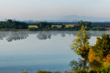 Sticker - Scenic view of a lake in a forest surrounded by lush nature