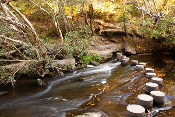 Poster - Beautiful view of river with stone paths in the forest