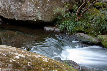 Wall Mural - Beautiful view of river with long exposure in the forest