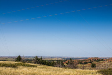 Wall Mural - Field on a sunny day with blue sky in the background