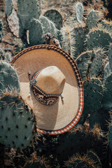 Poster - Vertical shot of an elegant charro hat hanging on cactuses