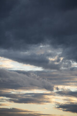 Wall Mural - beautiful vertical shot of trees, snow-capped mountains and a cloudy sky