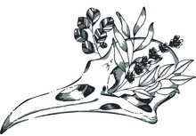 Bird Skull Sketch Tattoo Isolated Vector Illustration