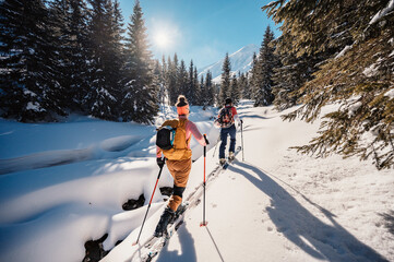 Wall Mural - Mountaineer backcountry ski walking ski alpinist in the mountains. Ski touring in alpine landscape with snowy trees. Adventure winter sport.