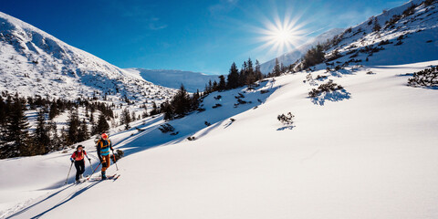 Mountaineer backcountry ski walking ski alpinist in the mountains. Ski touring in alpine landscape with snowy trees. Adventure winter sport.