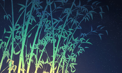 Wall Mural - bamboo vector illustration starry night sky