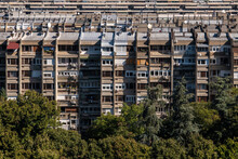 Row Of Apartment Buildings In Residential Quarter Of Belgrade City, Behind The Treetops. Multistory Apartment Complex At Urban Area.