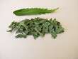 Dandelion herbs, dried leafes for herbal tea