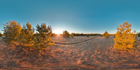 Wall Mural - Amazing landscape with blue sky sunset at spring trees without greens and grass 3D spherical panorama with 360 degree viewing angle Ready for virtual reality vr Full equirectangular projection
