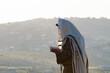 A Jewish man holding a siddur prayerbook and wearing a tallit and tefillin prays the morning service at sunrise on a hilltop in the Judean Mountains of Israel