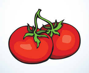 Wall Mural - Tomatoes. Vector drawing icon sign