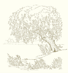 Sticker - Vector drawing. Tree at the lake