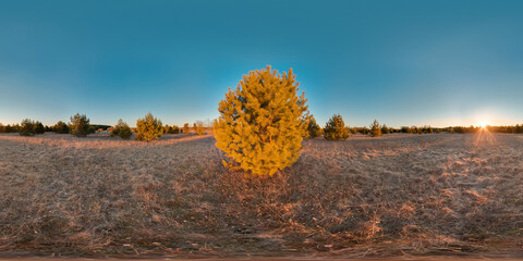 Wall Mural - Amazing landscape with blue sky sunset at spring trees without greens and grass 3D spherical panorama with 360 degree viewing angle Ready for virtual reality vr Full equirectangular projection