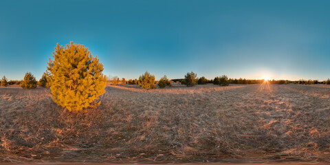 Wall Mural - Amazing landscape with blue sky sunset at spring trees without greens and grass 3D spherical panorama with 360 degree viewing angle Ready for virtual reality vr Full equirectangular projection