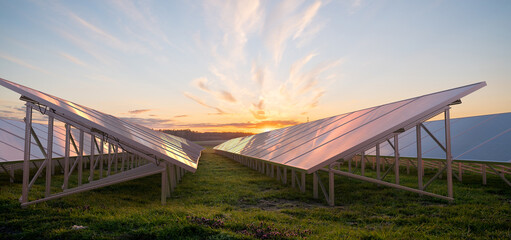 Wall Mural - photovoltaic farm on a green field