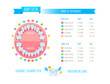 Children's  primary teeth tooth arrival chart..Temporary teeth - names, groups, period of eruption and shedding of the children. Vector illustration, baby teeth.
