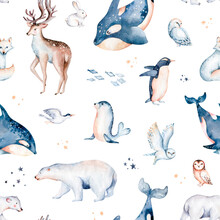 Seamless Watercolor Pattern Nursery Polar Arctic Animals Watercolor Collection Set. Snowy Owl. Reindeer. Polar Bear. Fox. Penguin, Walrus. Seal And Oeca, Hare Whale