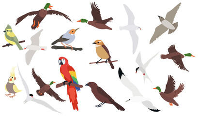Wall Mural - birds set flat design on white background , isolated vector
