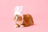 Fototapeta Panele - Cute cat in bunny ears on pink background