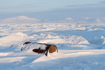 Sticker - a rusty barrel on the shores of a frozen sea in the arctic. winter arctic landscape. problems of eco