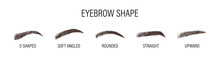 Female Eyebrows. Various Forms And Types. Arch Brows Shapes. Linear Vector Illustration In Trendy Minimalist Style. Brow Bar Logo.