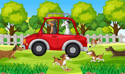 Wall Mural - Dogs driving in red car in park