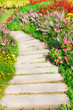Fototapeta Koty - stone path in the flower garden