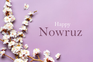 sprigs of the apricot tree with flowers on pink background text happy nowruz holiday concept of spri