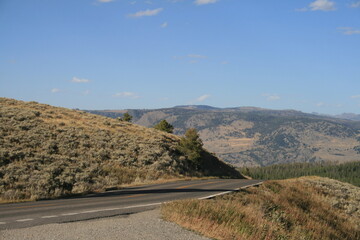 Wall Mural - Yellowstone Park road heading up to Dunraven Pass, Wyoming