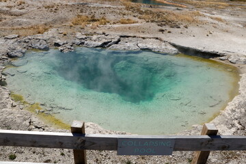 Wall Mural - Collapsing Pool, Yellowstone National Park, Wyoming