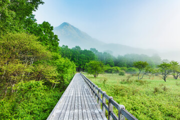 Wall Mural - 初夏の朝の奥日光の小田代ヶ原と木道,遠景の山は外山