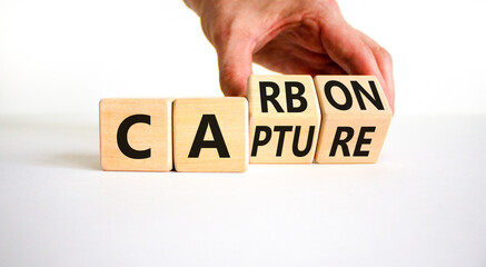 Wall Mural - Carbon capture symbol. Businessman turns wooden cubes and changes the concept word Carbon to Capture. Beautiful white table white background. Business ecological carbon capture concept. Copy space.