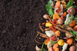 Organic waste and black soil with a copy space