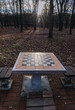 Table with chess board in Szczesliwicki Park, Warsaw, Poland