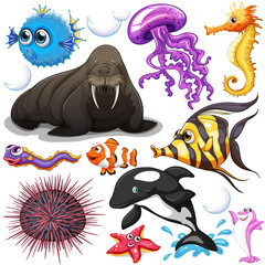 Poster - Different types of sea animals