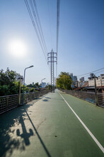 Japanese Style Walkway Have Electricity Post In Bangkok. At The Afternoon Time, Silhouetted Picture Reflect Shadow Of Trees On White Line And Green Ground.