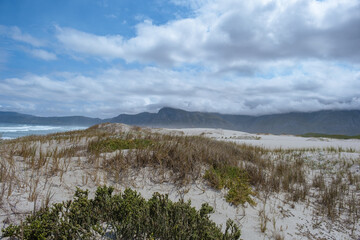 Wall Mural - Cape Nature Walker Bay beach near Hermanus Western Cape South Africa. white beach and blue sky with clouds, sand dunes at the beach in South Africa