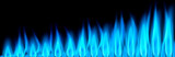 Fototapeta  - Blaue Gasflammen vor dunklem Hintergrund