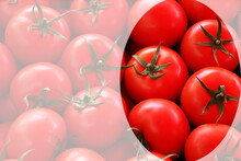 Freshly Picked Tomatoes From The Vine. Red Tomato Background. Tomato Photo Designed For Banner. Selective Focus