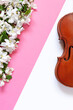 Close up of Branch of blossoming apple tree and violin on White and trendy Pacific Pink background..