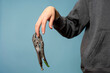 metal locking pliers clamped the man's finger. pain. blue background