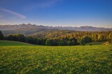 Fototapeta Natura - Beautiful spring landscape. Green glade against the backdrop of high mountains.