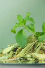 Wall Mural - Stevia fresh green twig and Dried stevia leaves close-up in a round cup Organic natural sweetener.