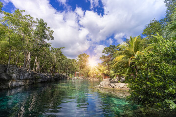 Wall Mural - Mexico tourism destination, Cenote Casa Tortuga near Tulum and Playa Del Carmen.